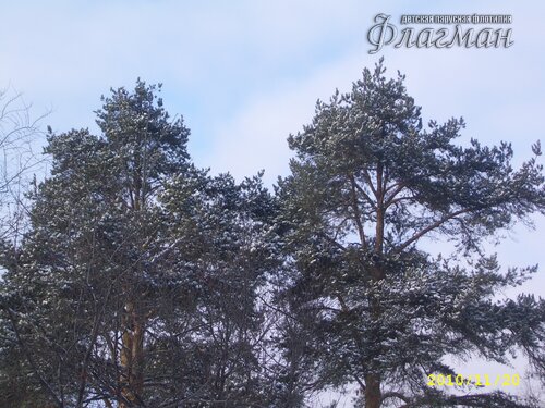 SSA42029_r